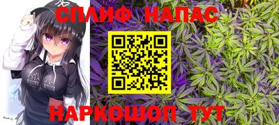 скорость Берёзовский
