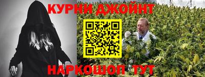 сатива Бийск