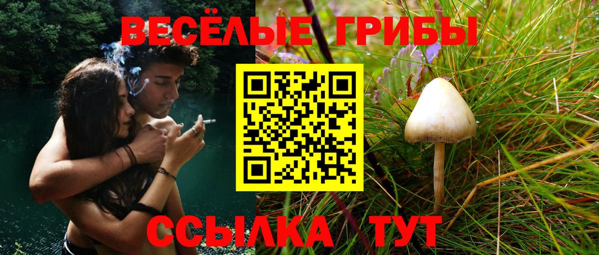 Зеленодольск  Псилоцибиновые грибы GOLDEN TEACHER  Вход с VPN 